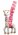 Tutim NYC Toy Sitter Butterflies